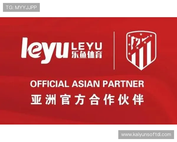 乐鱼体育app平台技术支持与客户服务体系详解确保用户体验无忧的专业保障